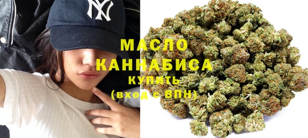 дмт Алексин