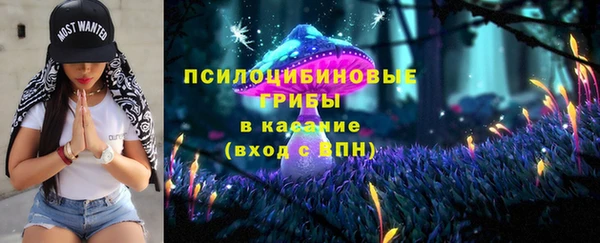 дмт Алексин