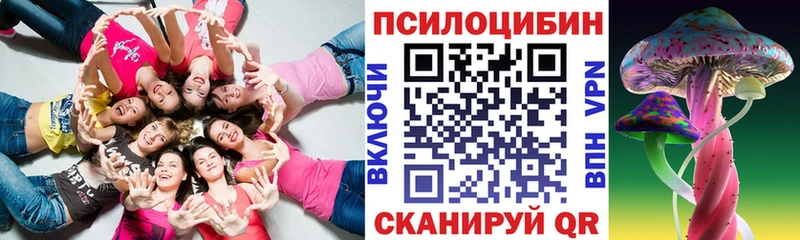 Псилоцибиновые грибы прущие грибы Миньяр